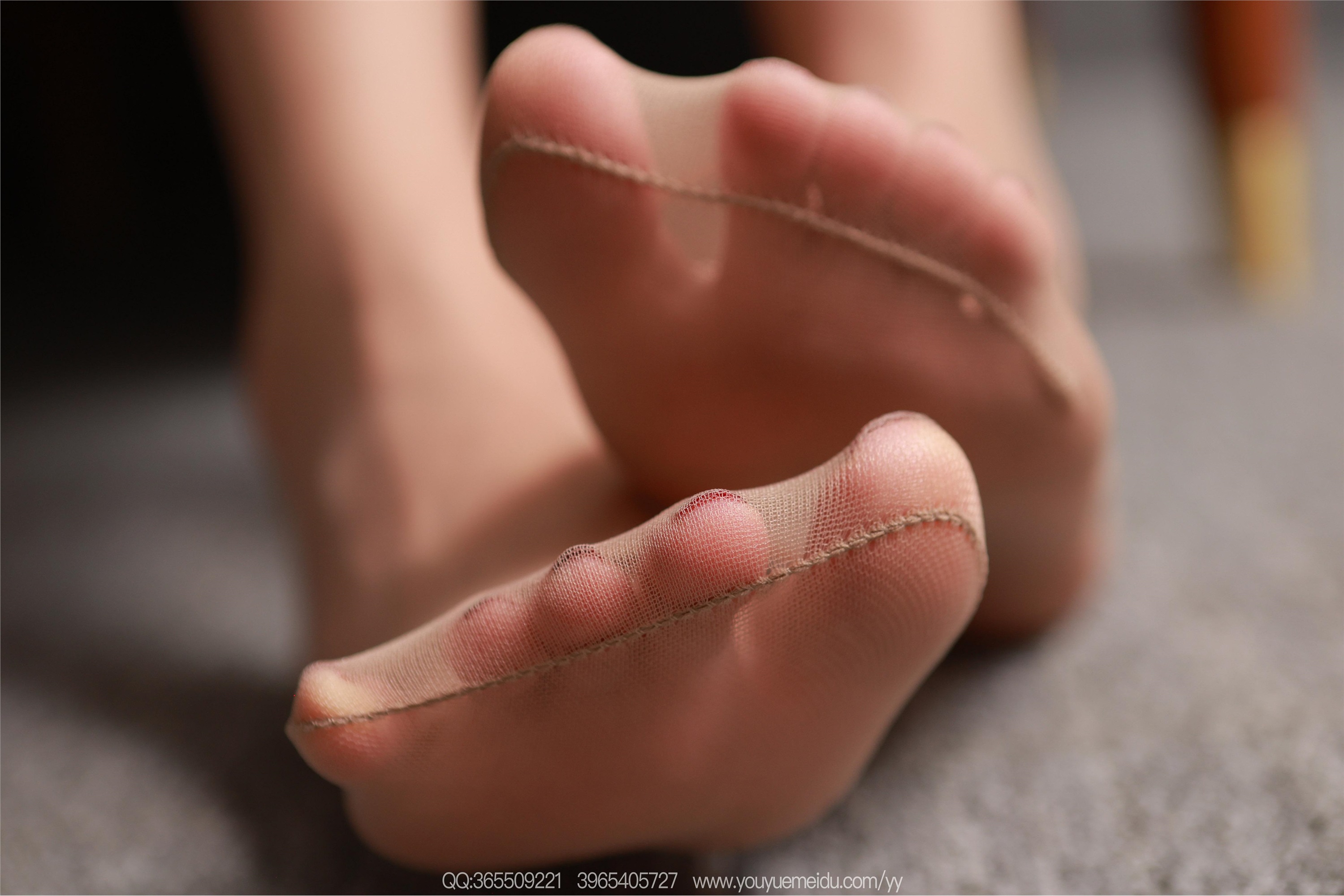 IESS异思趣向  2025.11.18 丝享家2214：团团《美腿肉丝》